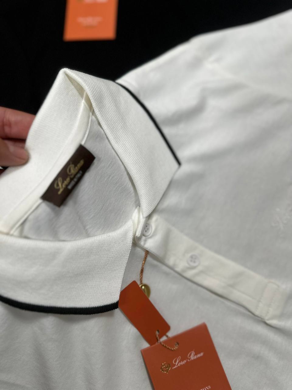 Loro Piana Striped Polo Shirts Fashion Premium Mens in 2 Colors Best Sale UK Reps AAA Quality