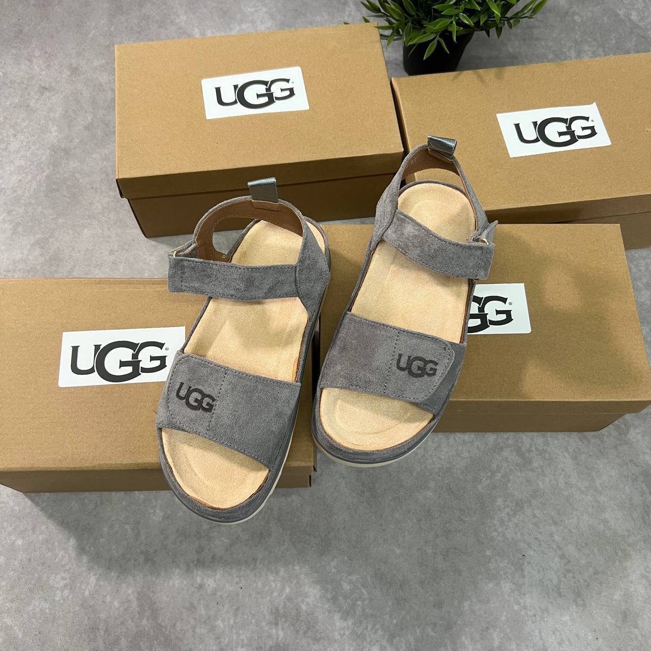 UGG Goldenstar Sliders in Grey Color Womens Best Sale UK Reps AAA Quality