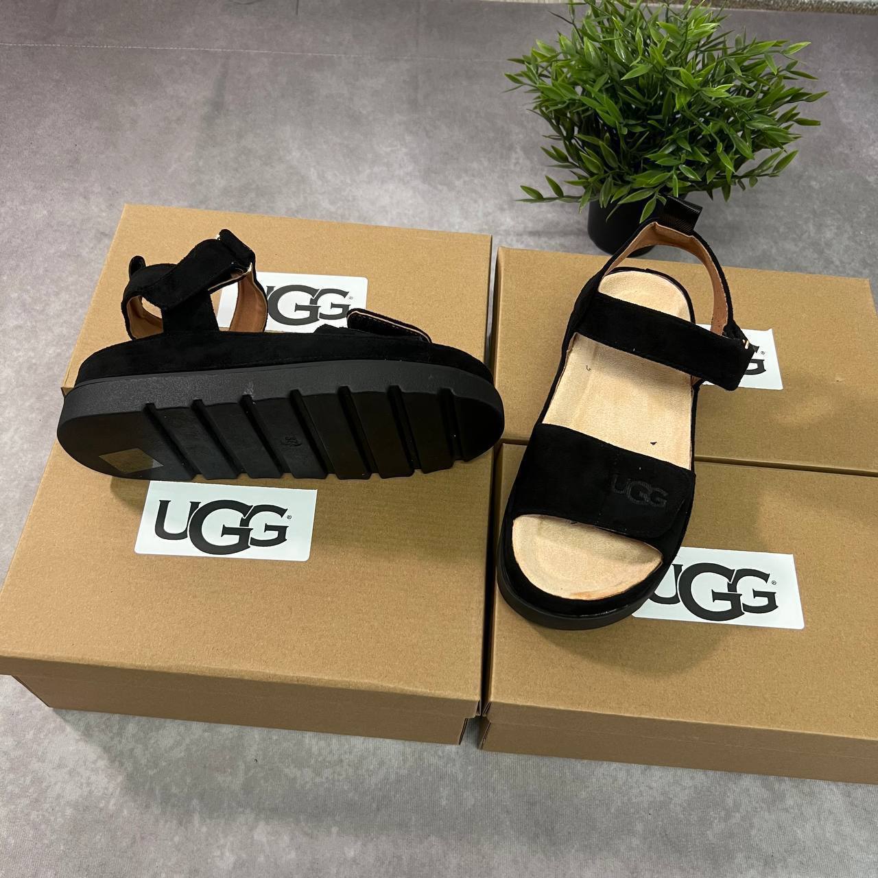 UGG Goldenstar Sliders in Black Color Womens Best Sale UK Reps AAA Quality