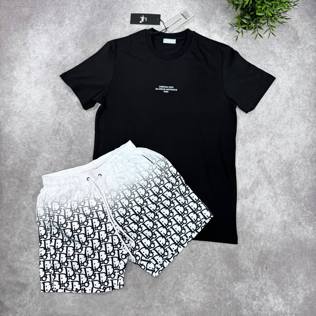 Christian Dior Logo Fashion Round Neck T-Shirts & Shorts Sets Mens in Multiple Colors UK Reps AAA Quality