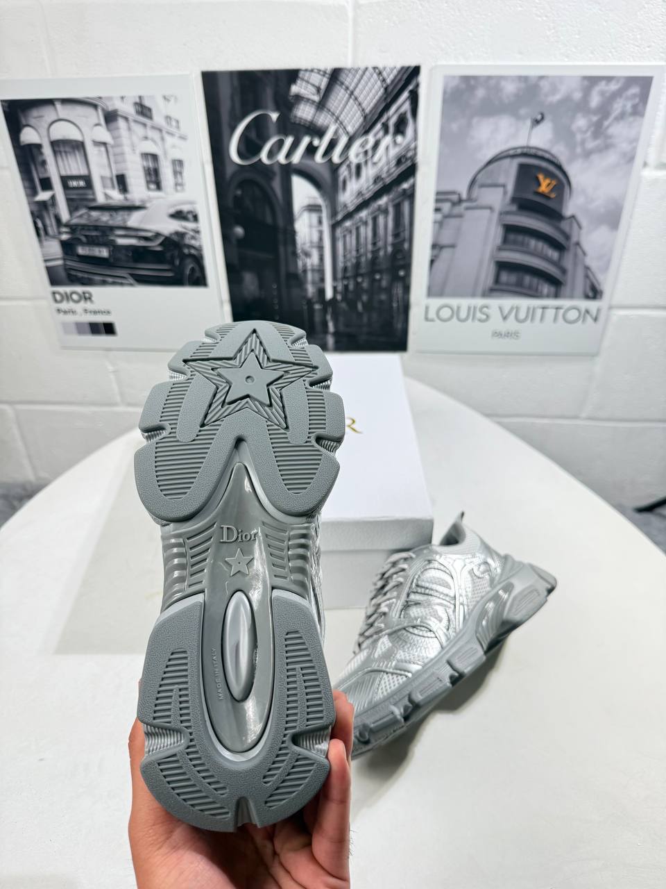 Christian Dior Chrono Sneaker Gray Mesh with Silver-Tone Laminated Womens Best Sale UK Reps AAA Quality