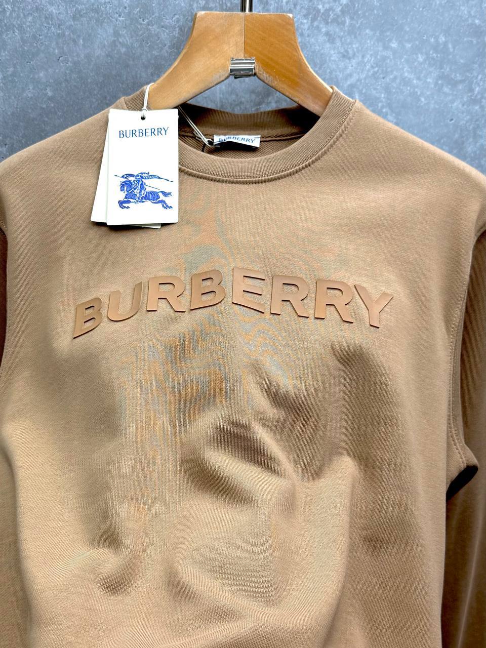 Burberry Harriston Logo Sweatshirt Mens in Multiple Colors Best Sale UK Reps AAA Quality