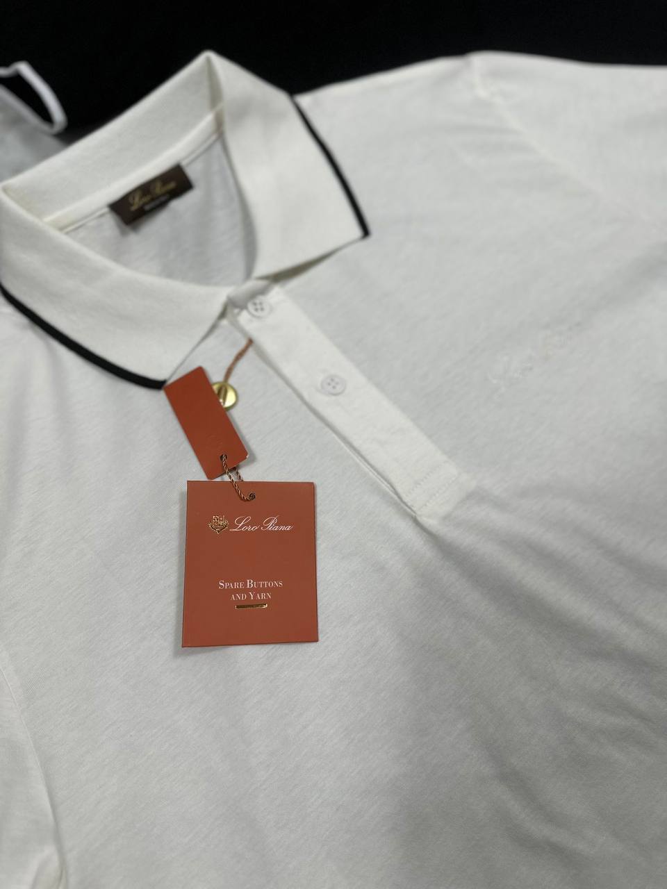 Loro Piana Striped Polo Shirts Fashion Premium Mens in 2 Colors Best Sale UK Reps AAA Quality