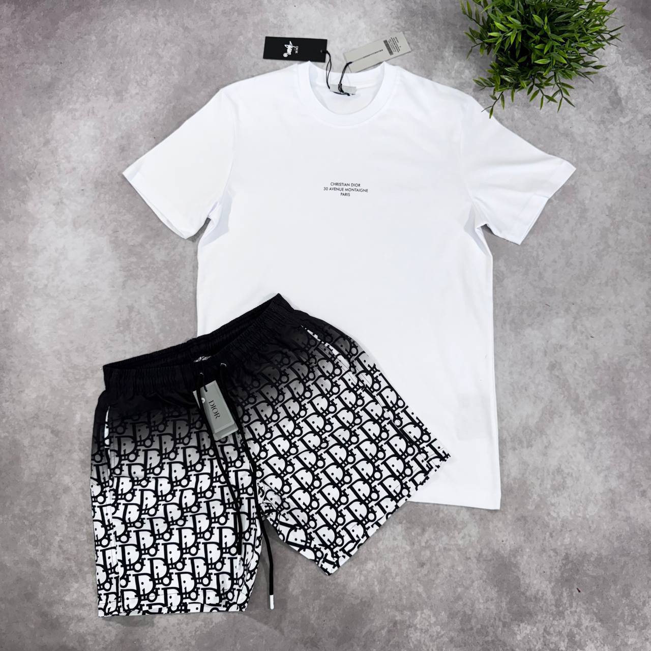 Christian Dior Logo Fashion Round Neck T-Shirts & Shorts Sets Mens in Multiple Colors UK Reps AAA Quality