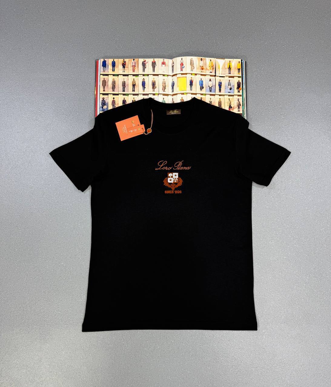 Loro Piana Logo Printed T-shirts Round Neck Mens in 2 Colors UK Reps AAA Quality