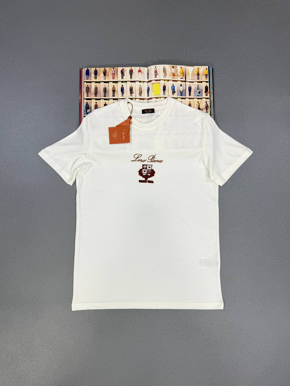 Loro Piana Logo Printed T-shirts Round Neck Mens in 2 Colors UK Reps AAA Quality