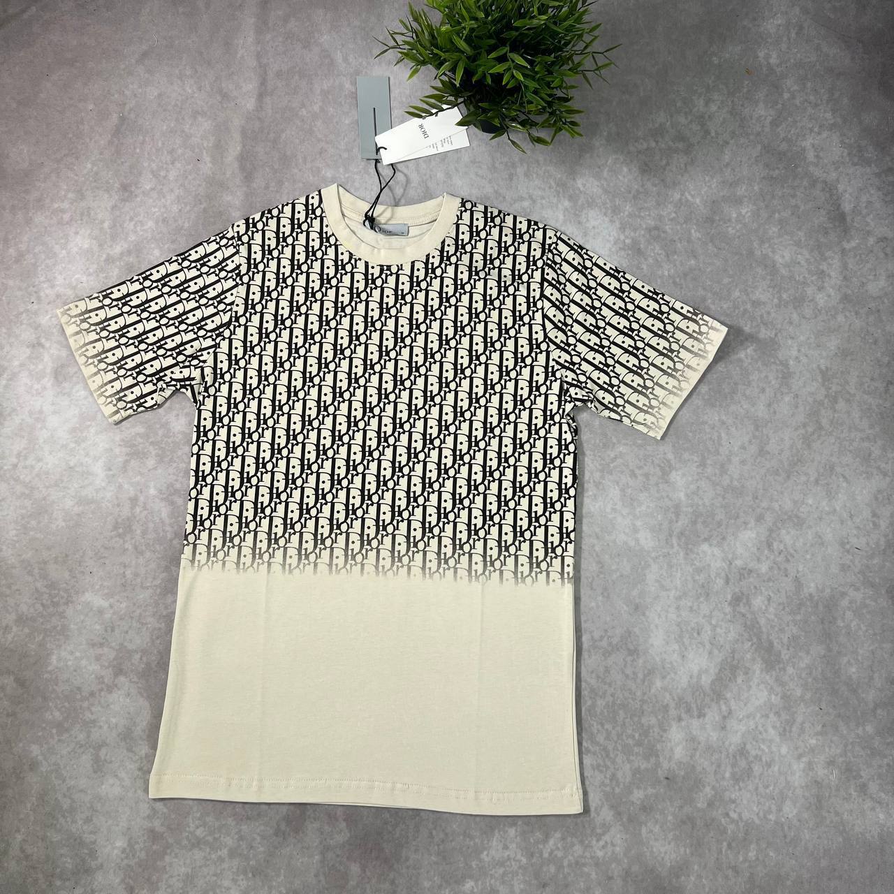 Christian Dior Gradient Oblique T-Shirts & Shorts Sets Men's