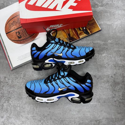 Nike TN Air Max Plus Black Blue Gradient Mens Trainers Best Sale UK Reps AAA Quality